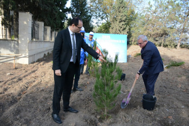 Tərtərdə “Konstitusiya və Suverenlik İli” çərçivəsində 8 Noyabr Zəfər Gününün beşinci ildönümü ilə əlaqədar ağacəkmə aksiyası keçirilib