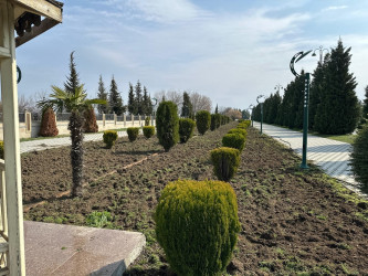 Tərtər şəhəri ərazisində iməclik aksiyası keçirilib