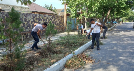 Tərtərdə “Yaşıl dünya naminə həmrəylik ili” çərçivəsində növbəti iməcilik keçirilib