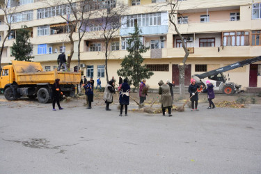 Tərtər şəhərində mütamadi olaraq təmizlik işləri aparılır