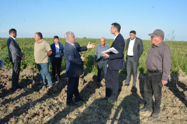 Tərtərdə yeni Dövlət Proqramının icrası ilə əlaqədar kənd təsərrüfatı və emal sahələrinin inkişafı üzrə layihələrə baxış keçirilib