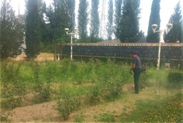 Tərtər şəhəri ərazisində növbəti iməclik aksiyası keçirilib